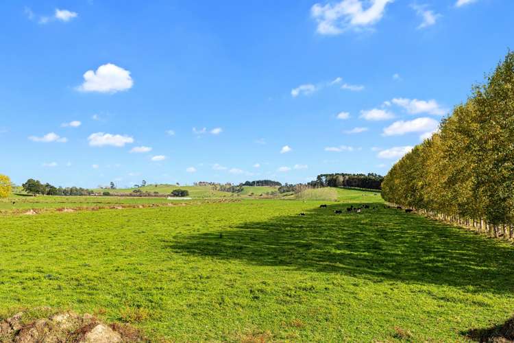 614a Springhill Road Meremere_8