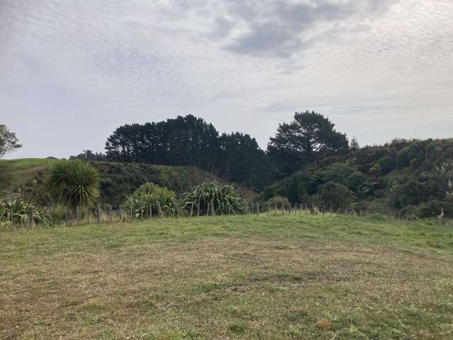 Near Mimi Road Mimi_3