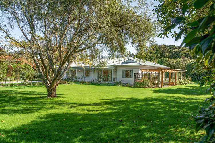 31 Udy Street Greytown_1