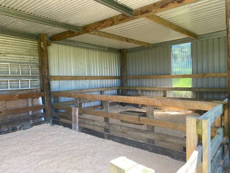 33 Link Road Wairakei and Surrounds_23