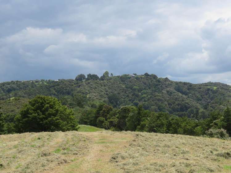 Pataua North Road Pataua_11