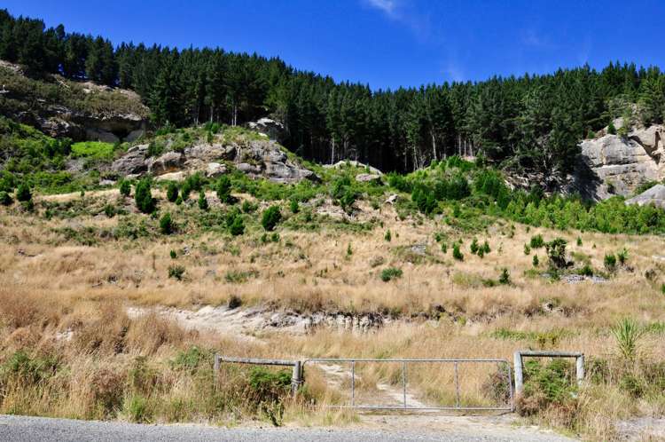 Horse Range Road Moeraki_5