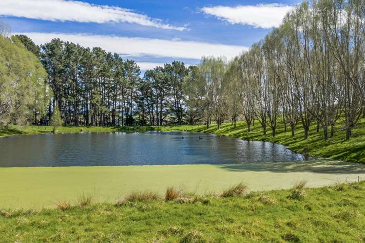 683 Bush Road Wallingford_31