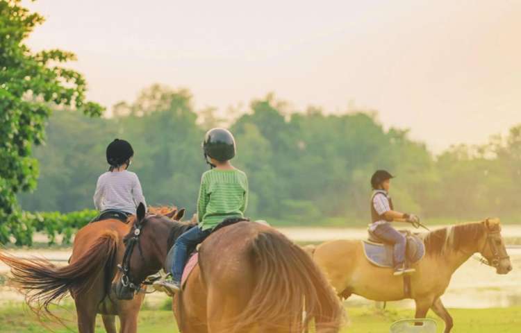 Lot 150/62-80 Papakura-Clevedon Road Clevedon_15