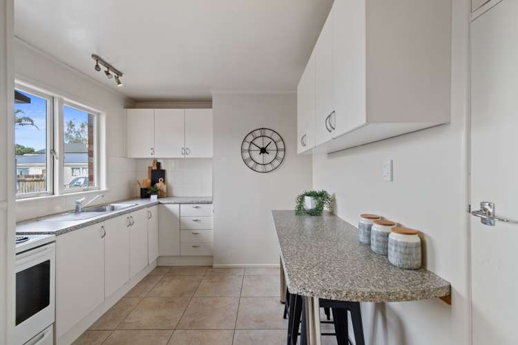 160 Old Farm Road Hamilton East_5