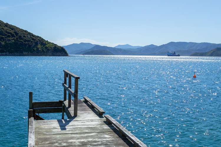 Curious Cove Curious Cove_20