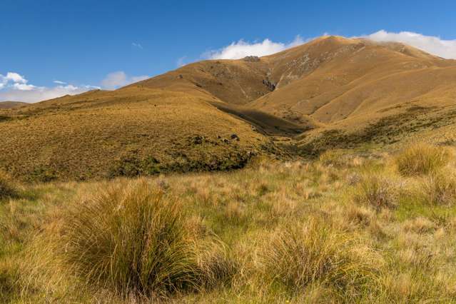 Shortlands; the classic High Country Station