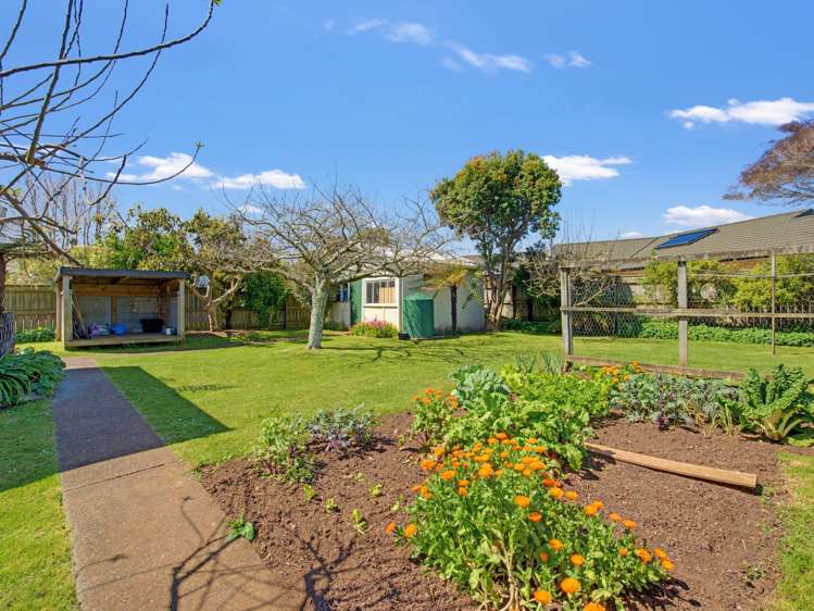 23 Godwin Crescent College Estate_31