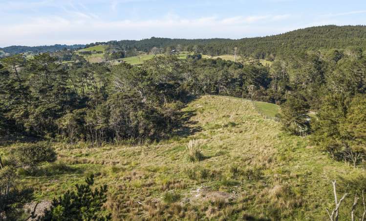 51 Drury Lane Dairy Flat_13