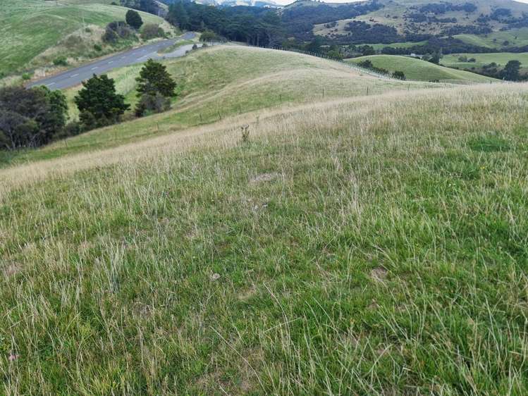 4820 Pahiatua Pongaroa Road Pongaroa_32