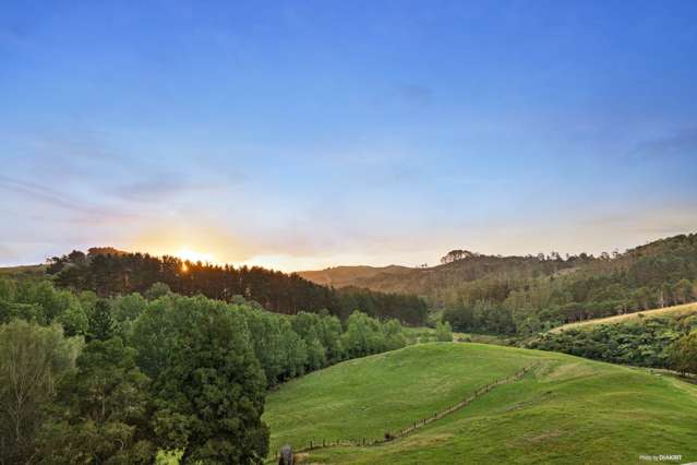 878 Waikaretu Valley Road Glen Murray_3