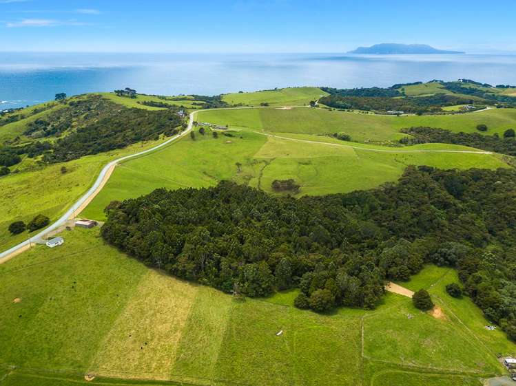 26 Cape Rodney Road Leigh_13