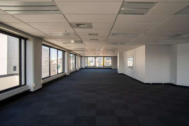 Level 12/15 Willeston Street Wellington Central_1