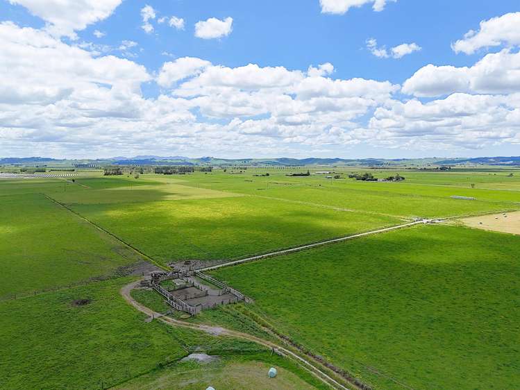 Freyberg Road Ruawai_6