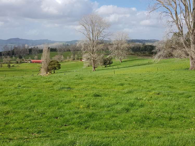 7045 State Highway 1 Pakaraka_6