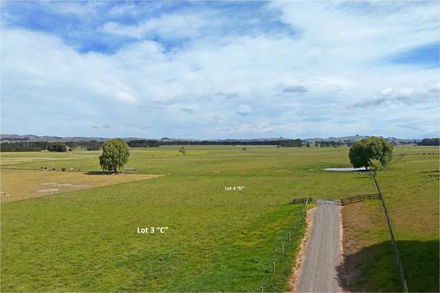 96A, B, C, D Farm Road Waipukurau_4
