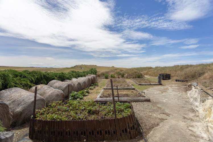 876a Beach Road Kakanui_24