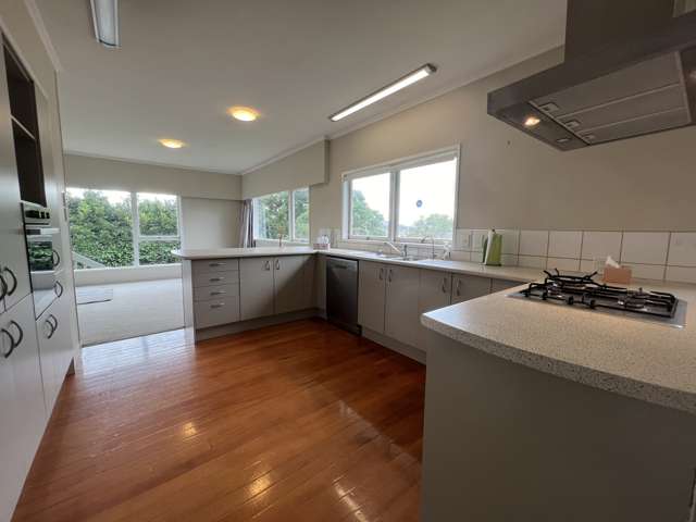 3 Acmena Lane Pakuranga_1