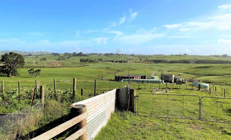 291 Ginn Road Huntly_31