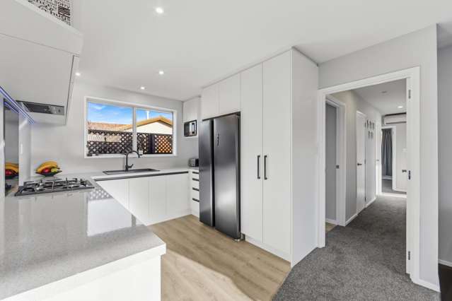 63 Solomon Avenue Redwood_2