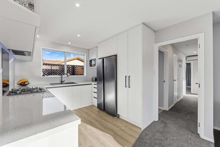 63 Solomon Avenue Redwood_2