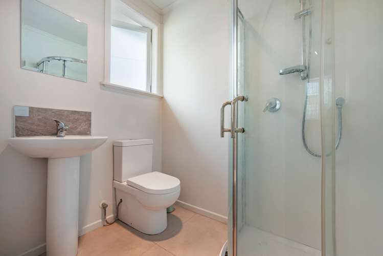 17 Laurel Street Mt Albert_10