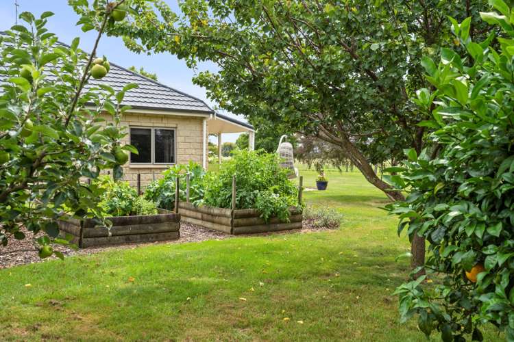 163 Flume Road Te Miro_20