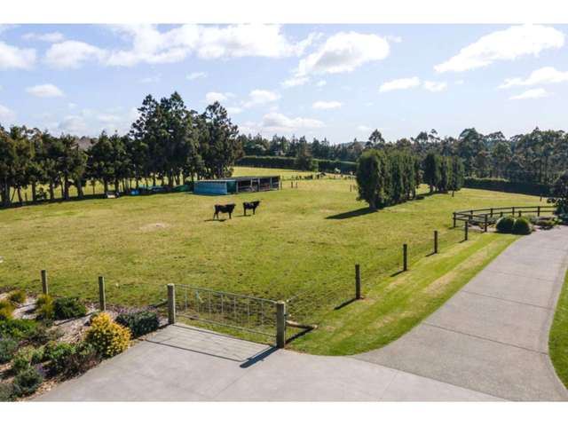 10c Doonside Road Kerikeri_2