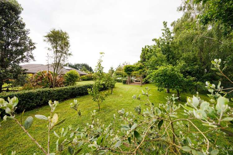 54 Henaghans Road Kelvin Grove_29