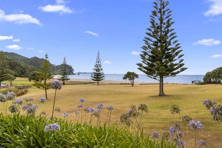 231 Onemana Drive Onemana_23