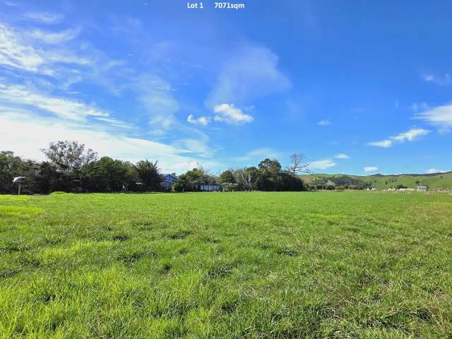 142A and B Awakino Point North Road Dargaville_3