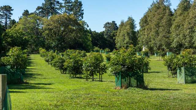 72 Rea Road Katikati_2