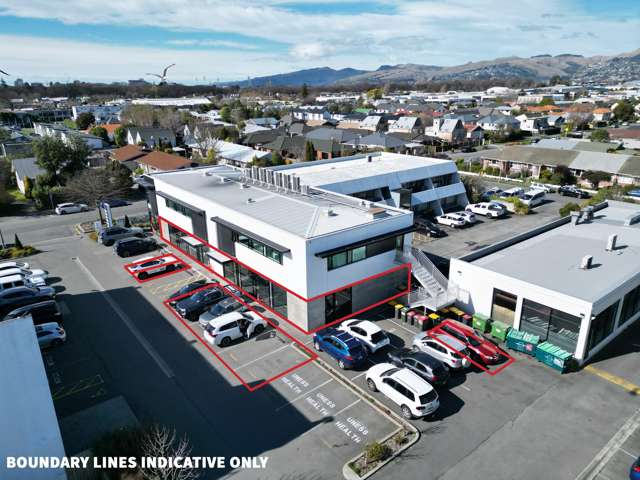 89 Picton Avenue Riccarton_4
