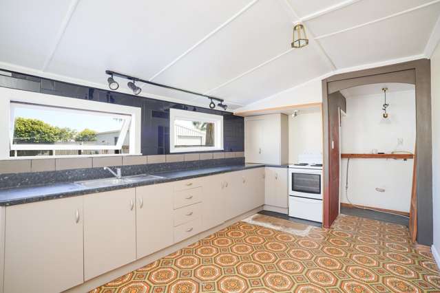 423 Tweed Street Georgetown_3