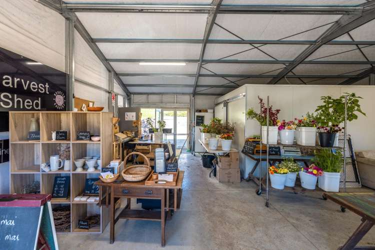 68 Korora Road_5