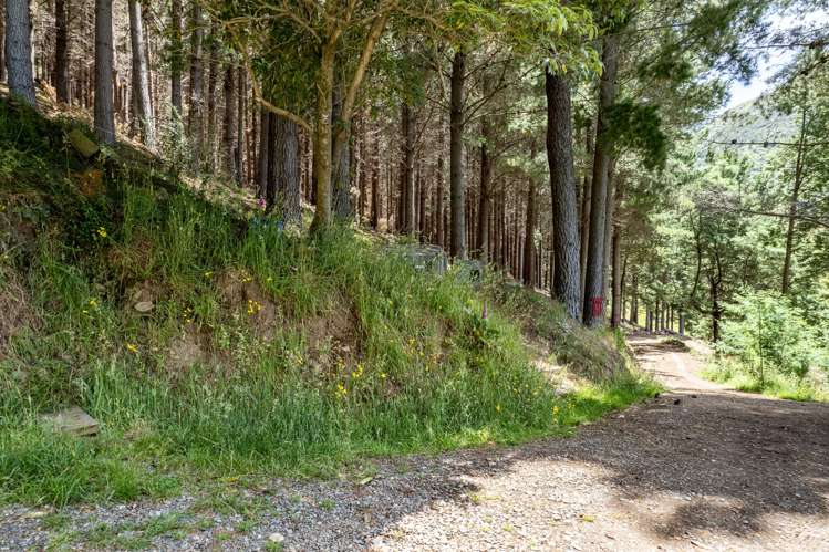 61 Council Hill Road Little River_7