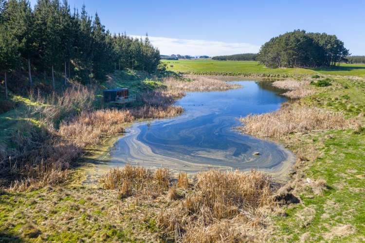 725 Raumai Road Bulls_8