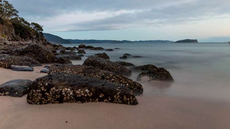 190 Pacific Ocean, Slipper Island (Whakahua) Thames_42