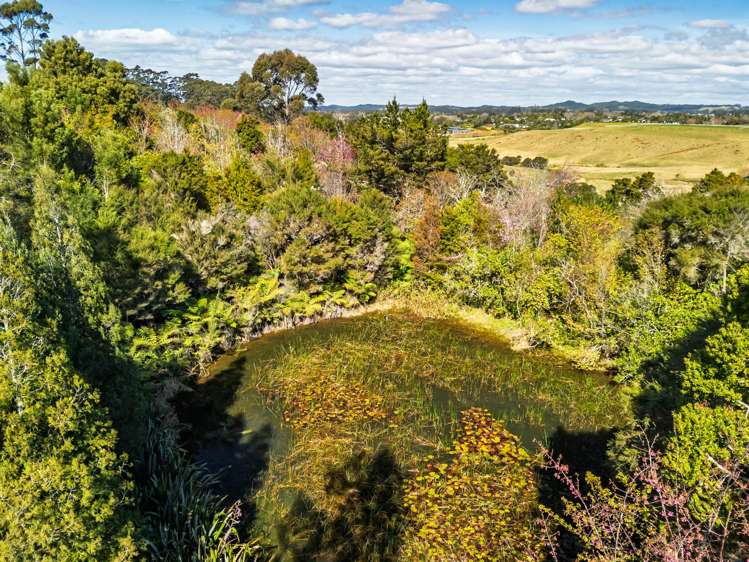 Lot 1/332 Kapiro Road Kerikeri_6
