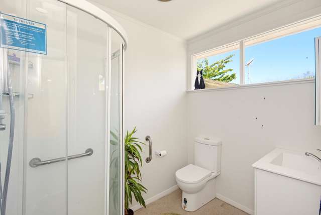 35 Bowen Street Levin_4