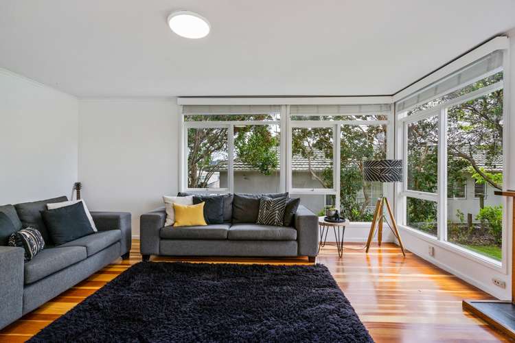 258 Birkdale Road Birkdale_6