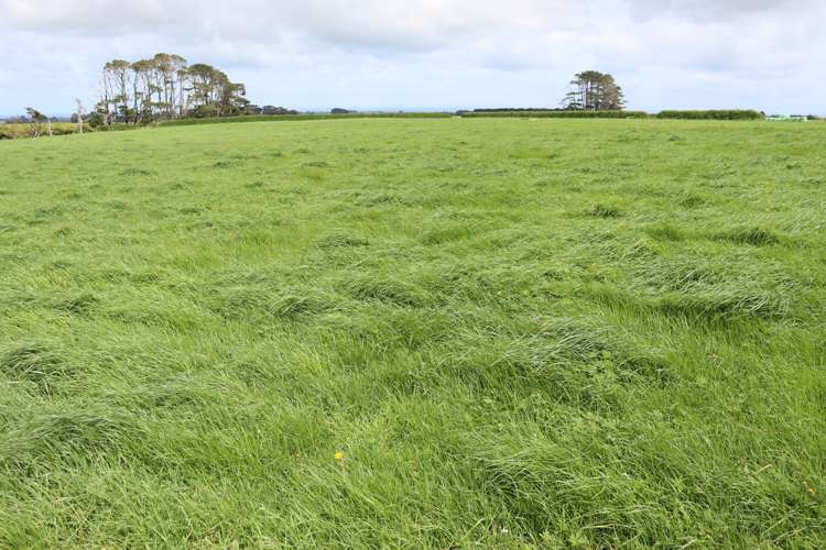 939 Auroa Road Auroa_19