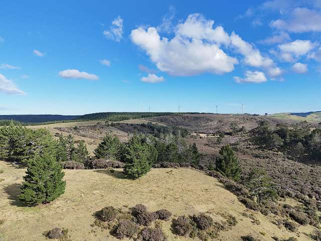 Lot 1 State Highway 12 Dargaville_2