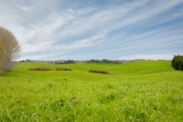 936 Pongakawa Bush Road Pongakawa_1