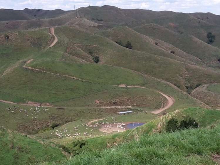 446 Stanley Road Te Popo_25