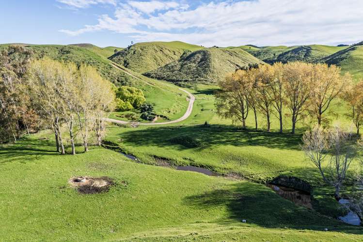 463 Dog Kennel Road Ikawai_24