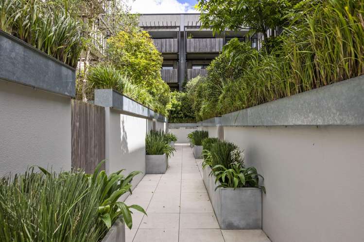 206/30 Enfield Street Mount Eden_1