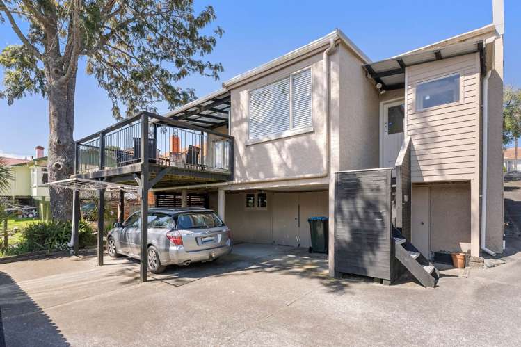 217 Blockhouse Bay Road Avondale_16