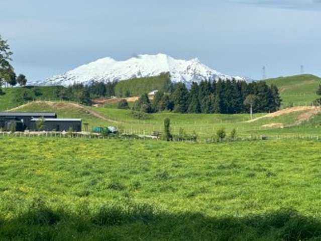 A slice of Ruapehu's Heartland