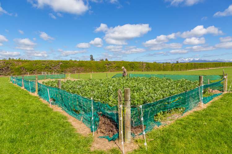 129 Hacketts Road Darfield_32